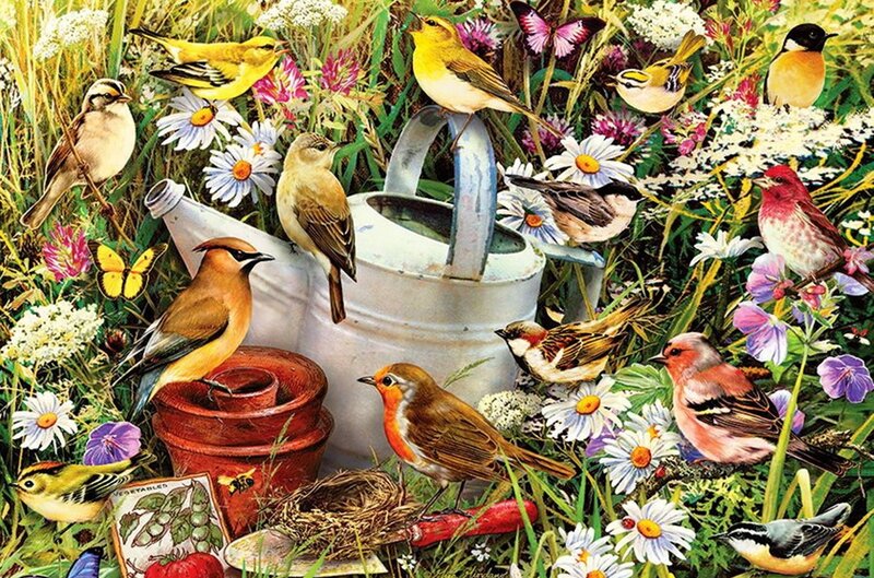 Birds in Garden — Green, Serene, Spring