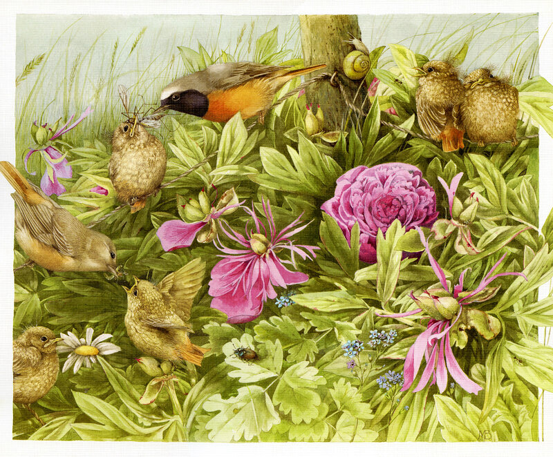 Birds in Garden — Green, Serene