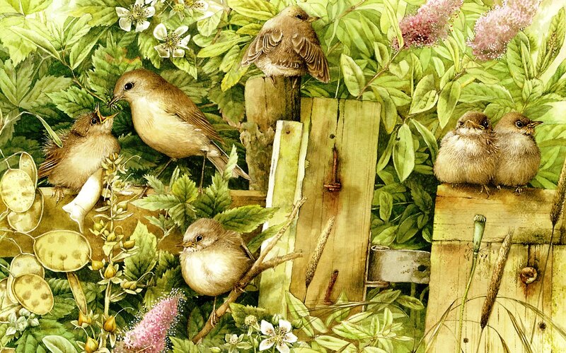 Birds in Garden — Green