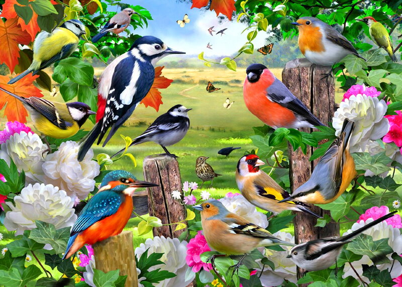 Birds in Garden — Green, Vibrant