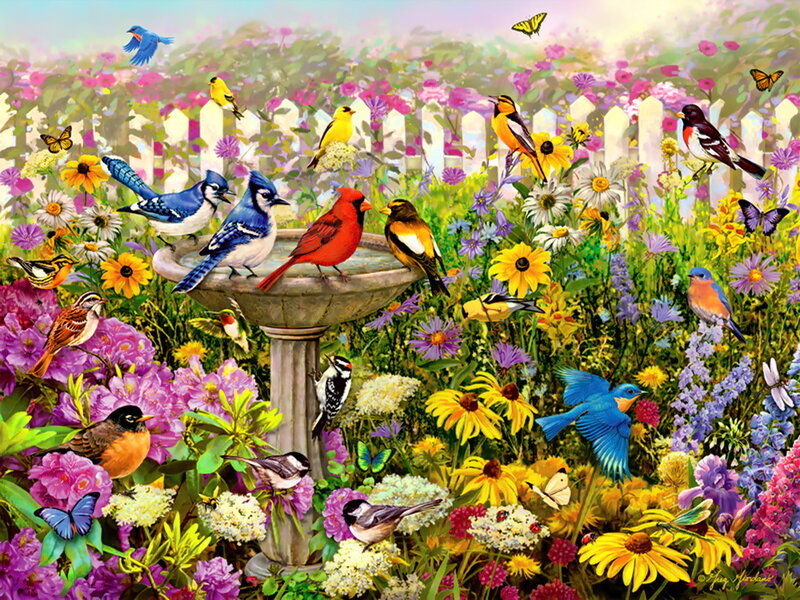 Birds in Garden — Purple, Colorful