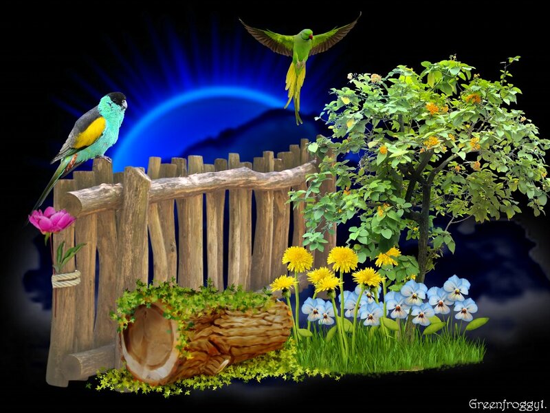 Birds in Garden Scene — Green, Serene, Night