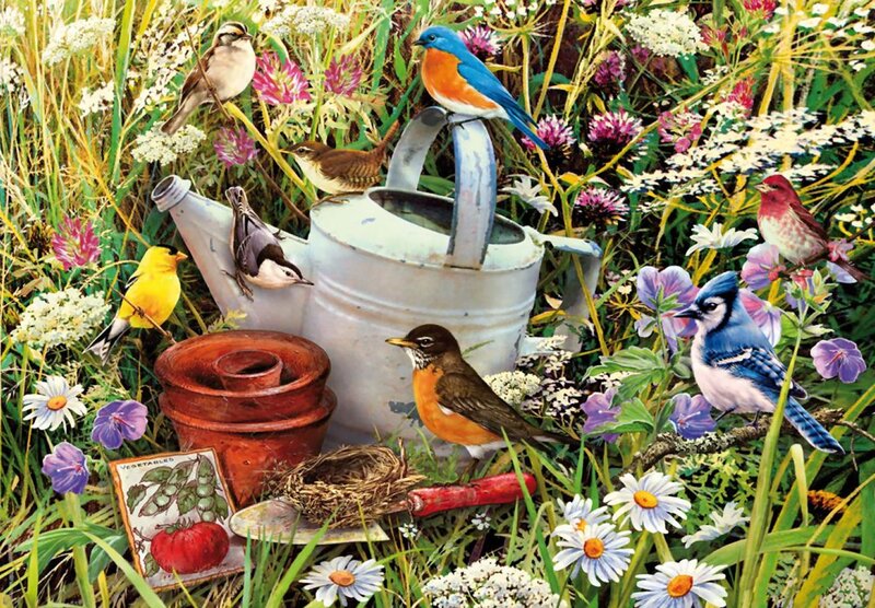 Birds in Garden Scene — Green, Serene, Spring, Illustration