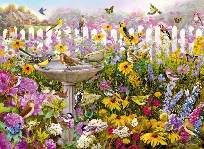 Birds in Garden