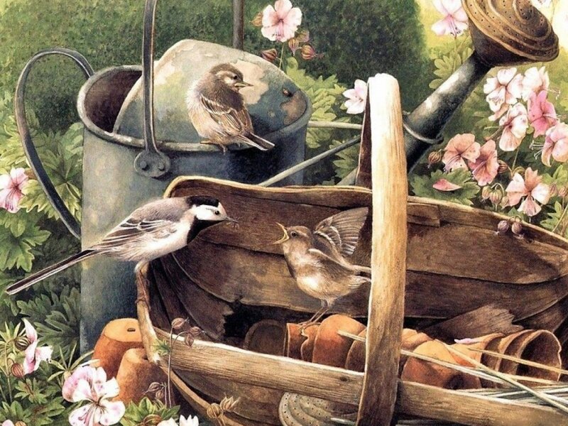 Birds in Garden Tools — Green, Serene, Spring