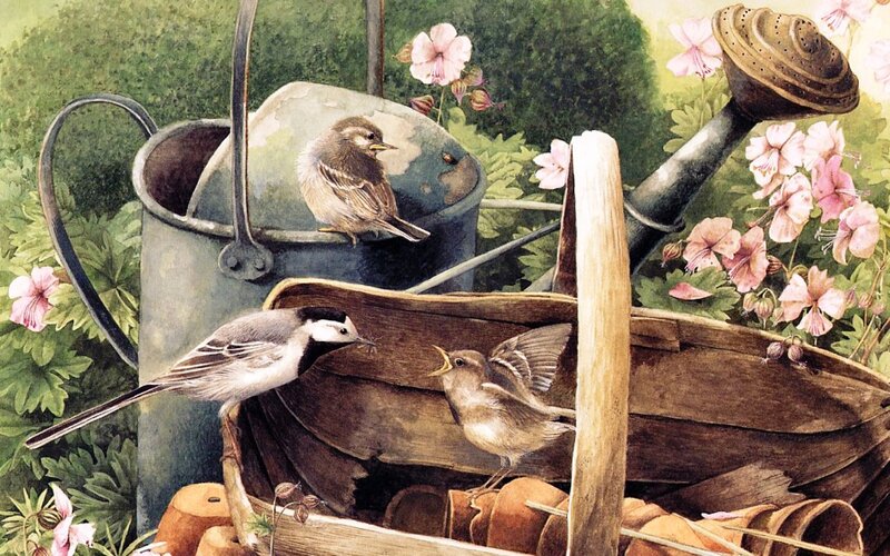 Birds in Garden Tools — Green