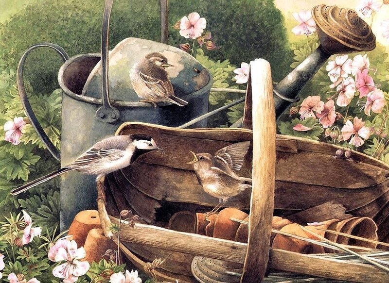 Birds in Garden Tools