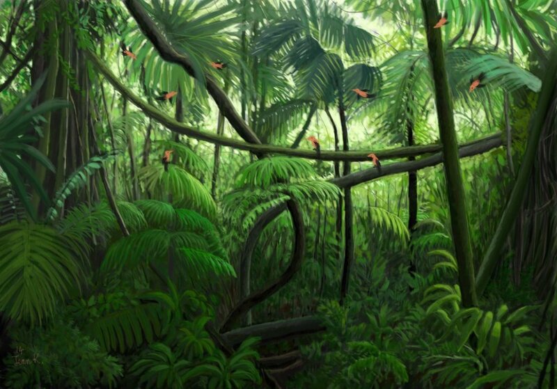 Birds in Jungle