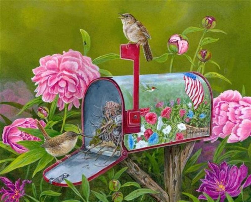 Birds in Mailbox