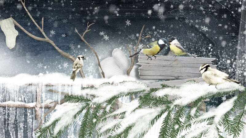 Birds in Winter Scene