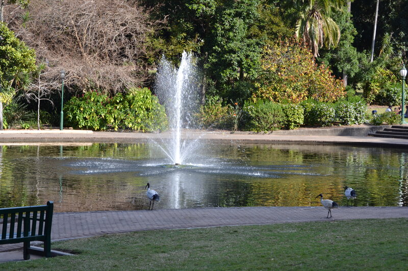 Birds Near Pond Fountain