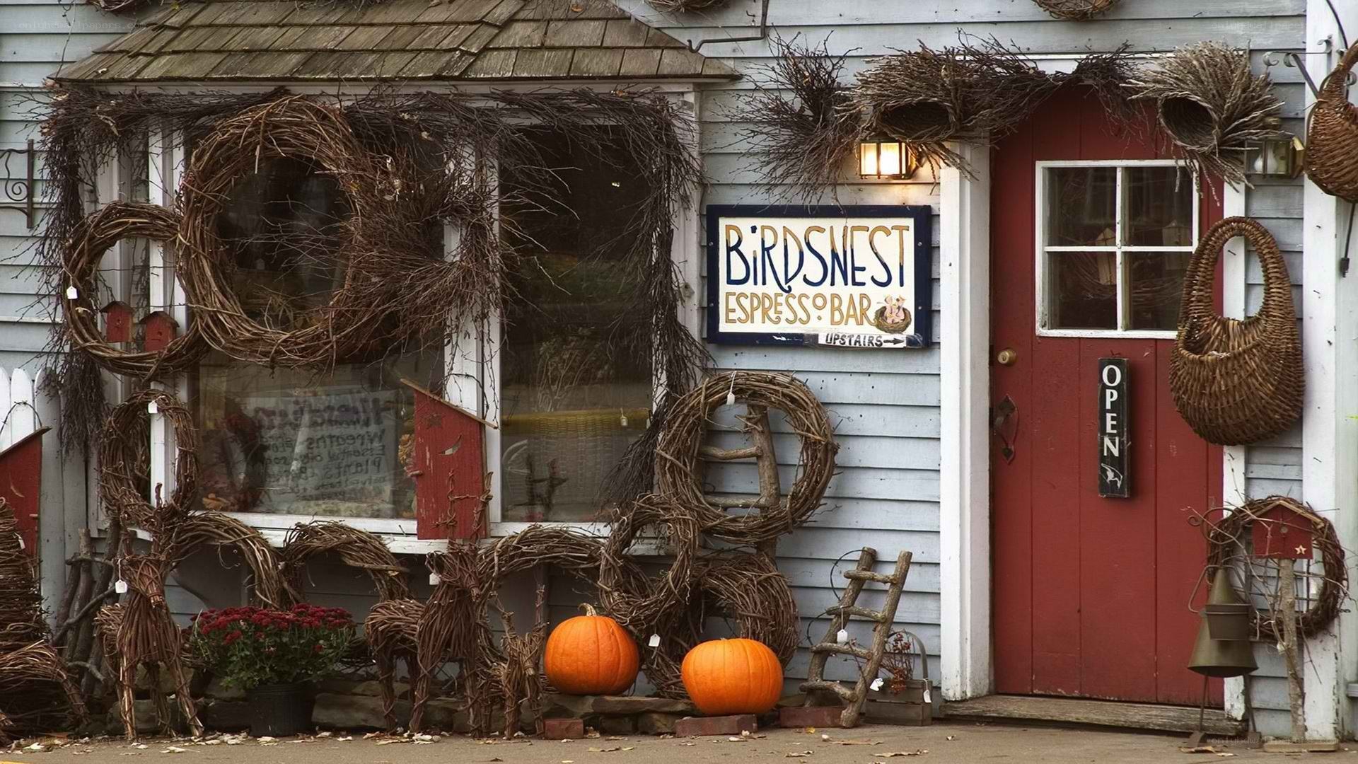 Birds Nest Espresso Bar