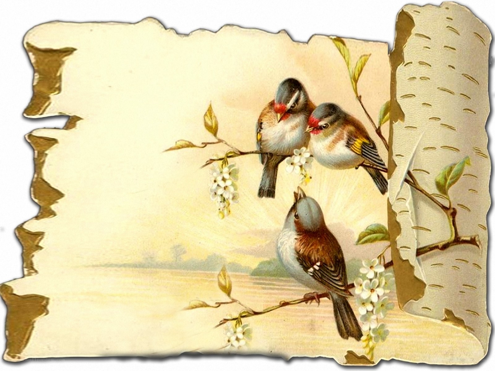 birds on a blossoming branch