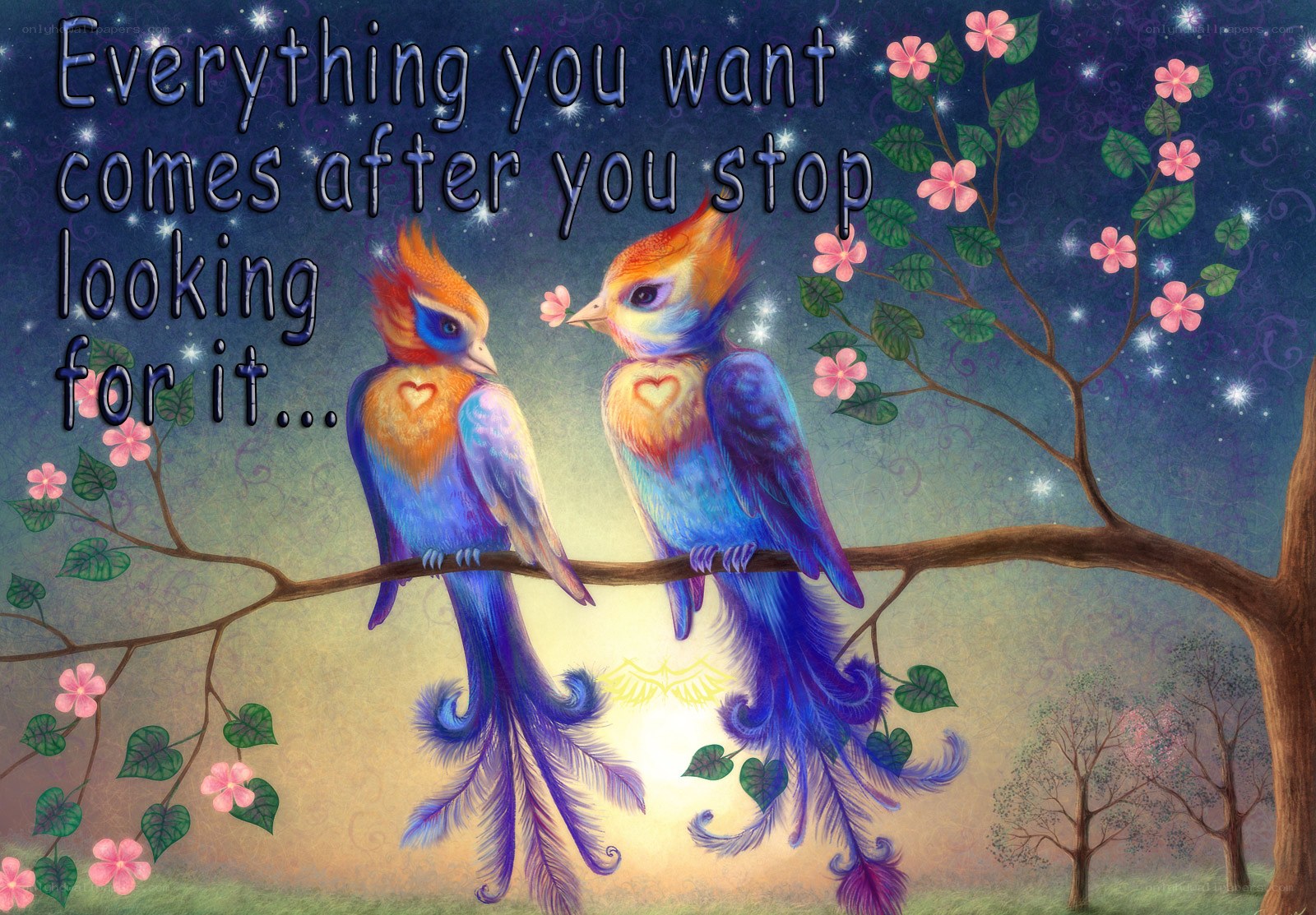 Birds on a branch at night