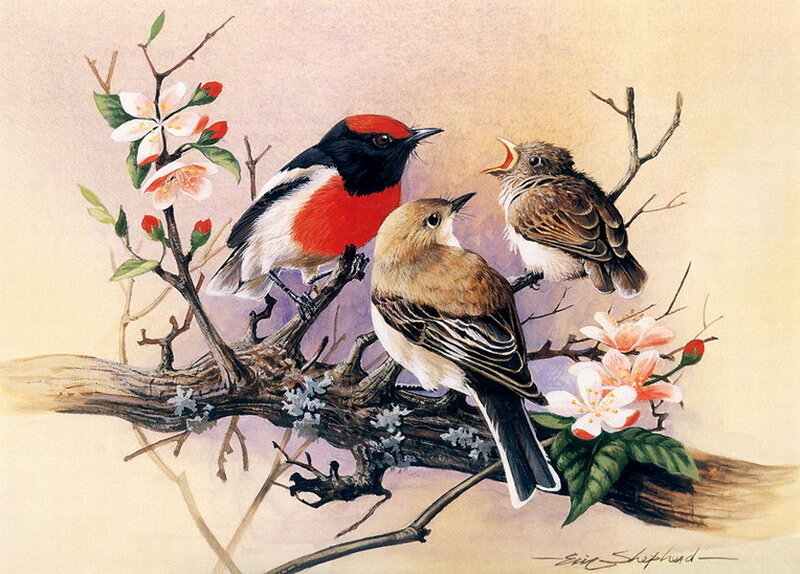 Birds on a Branch — Brown