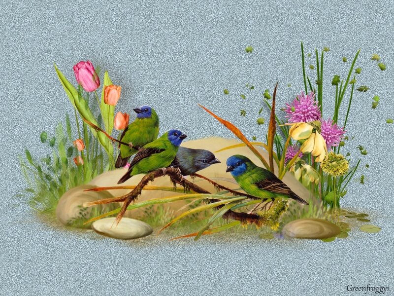 Birds on a Branch — Green, Serene, Spring, Illustration