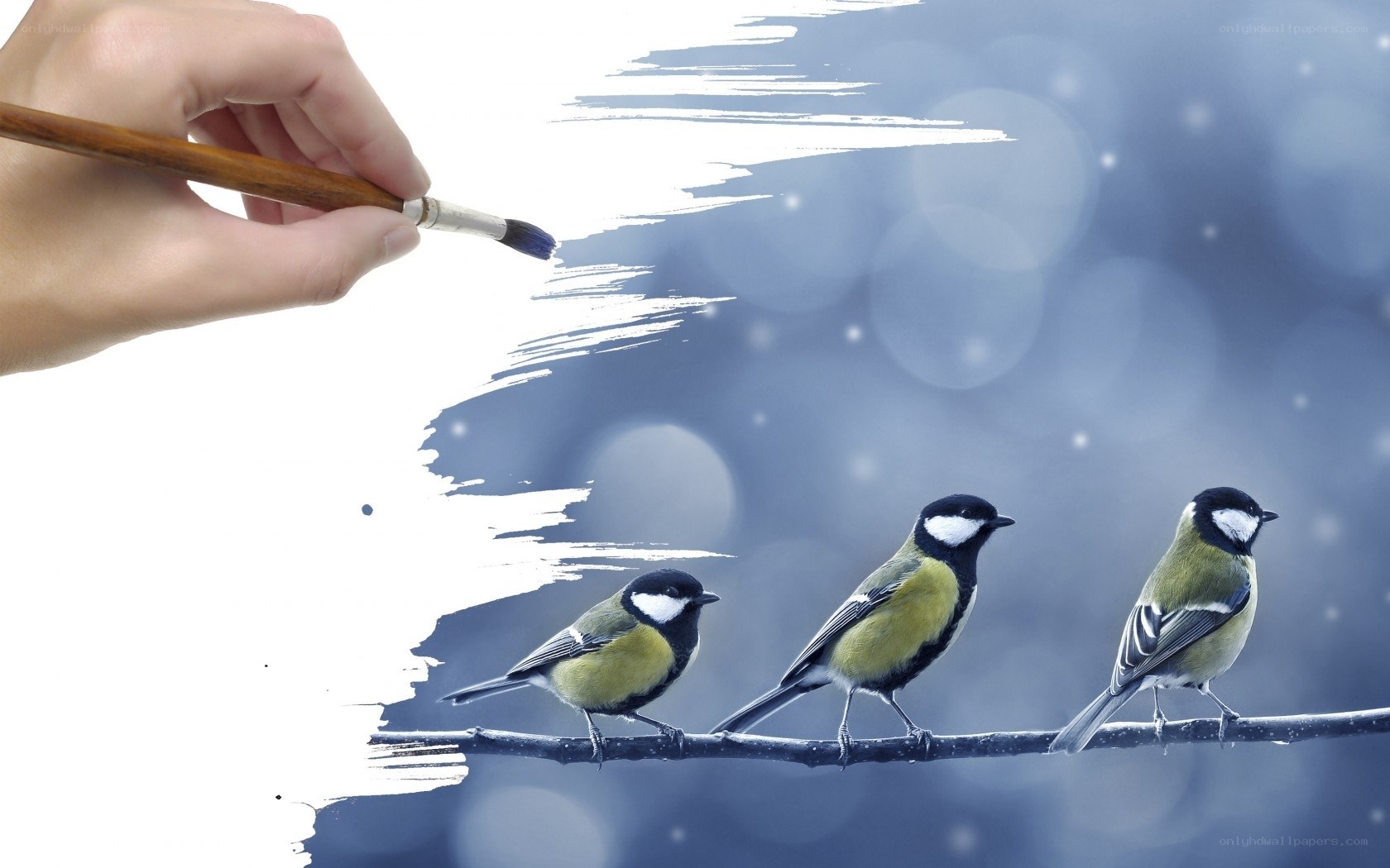 Birds on a branch painting