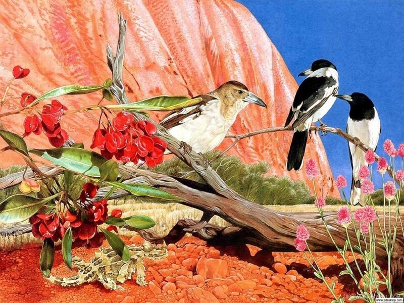 Birds on a Branch — Red, Serene, Afternoon