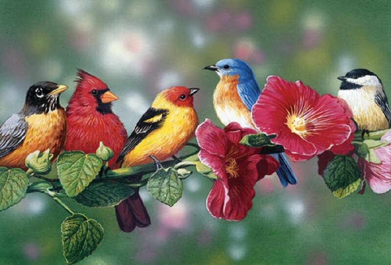 Birds on a Branch — Red, Serene