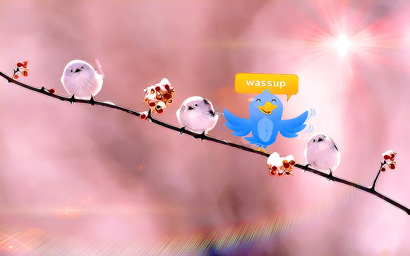 Birds on a branch with Twitter bird
