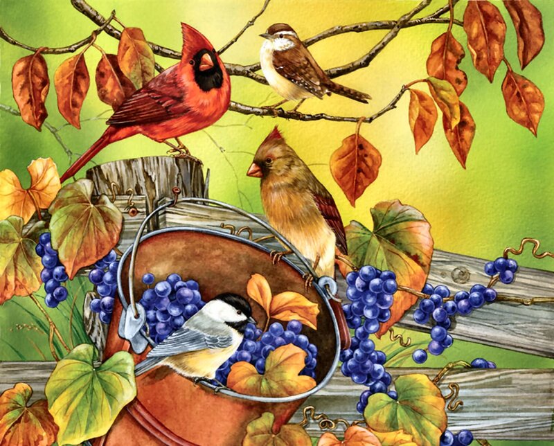 Birds on a Bucket