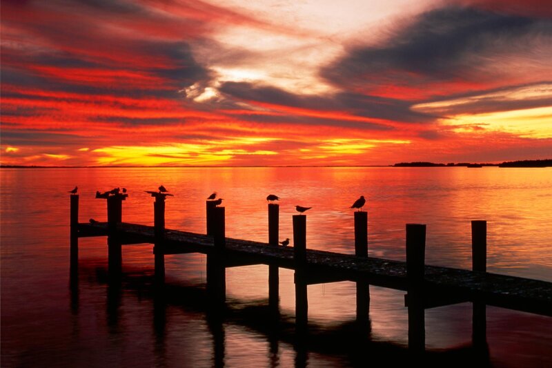 Birds on a Dock — Red, Dramatic, Sunset, Photograph, Sky