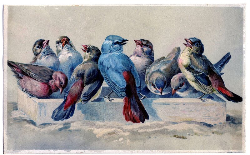 Birds on a Feeder — Blue