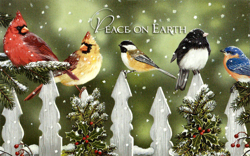 Birds on a Fence — Green, Peaceful