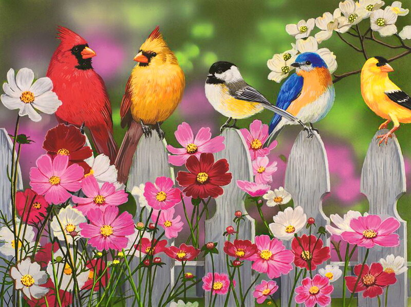 Birds on a Fence — Pink, Serene