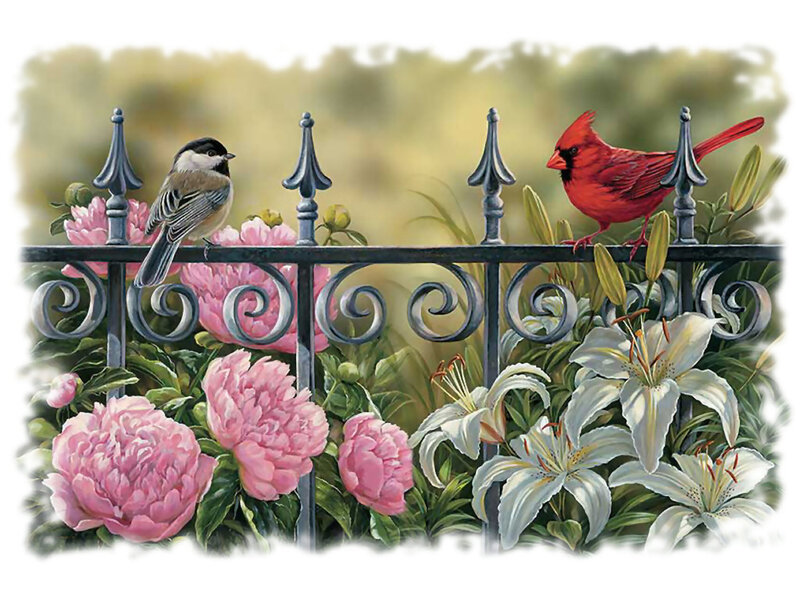 Birds on a Fence — Pink