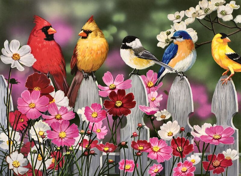 Birds on a Fence — Red, Colorful