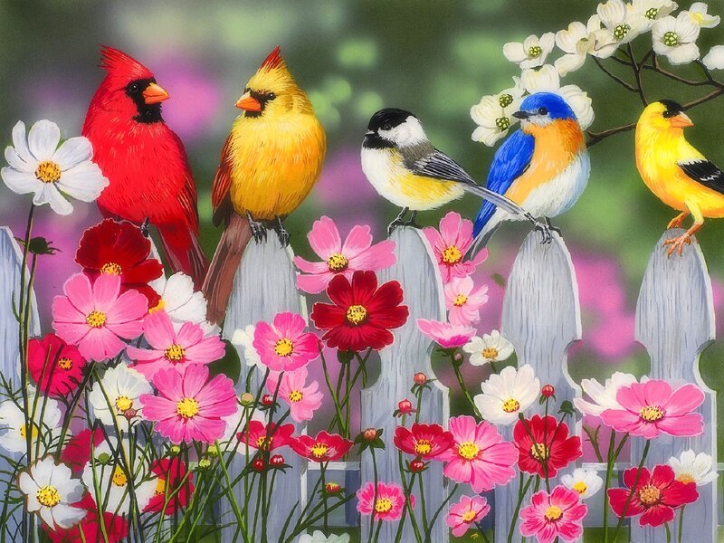 Birds on a Fence — Red