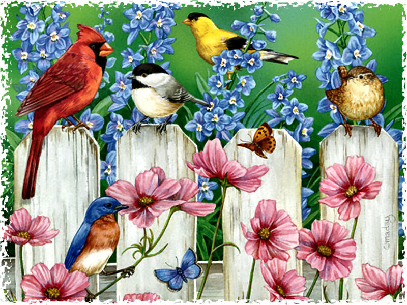 Birds on a Fence