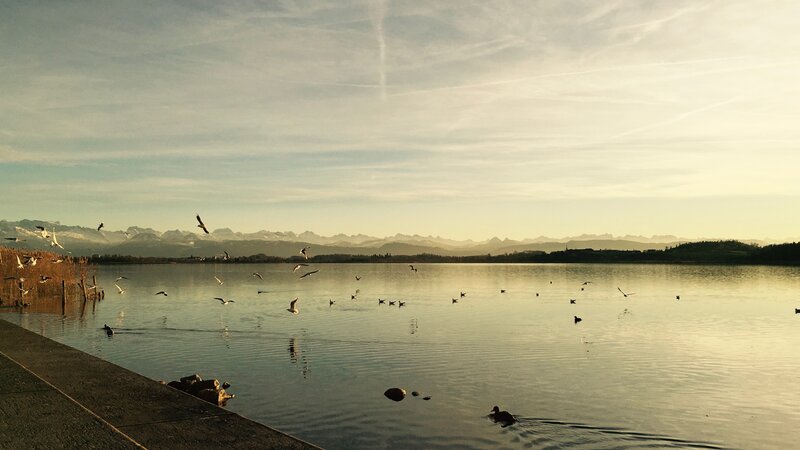 Birds on a Lake — Blue, Serene