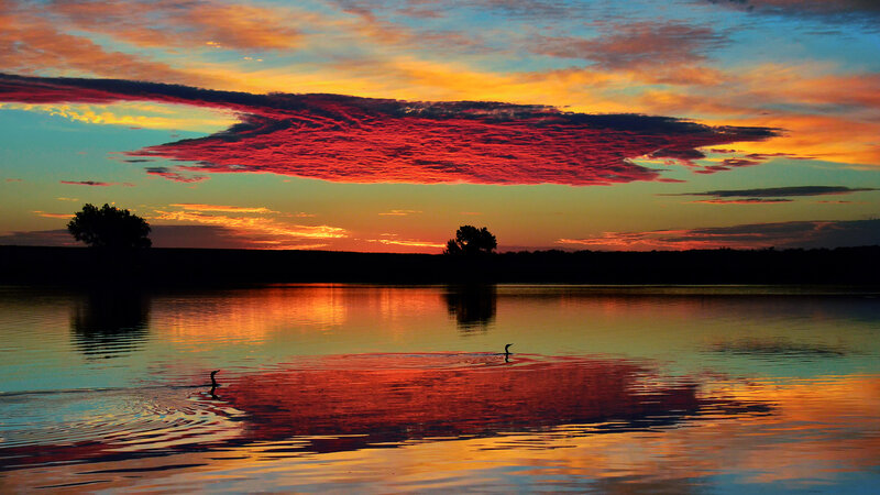 Birds on a Lake — Red