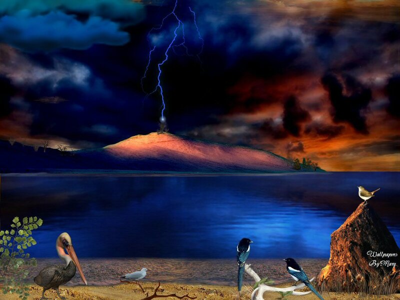 Birds on a Lake Shore