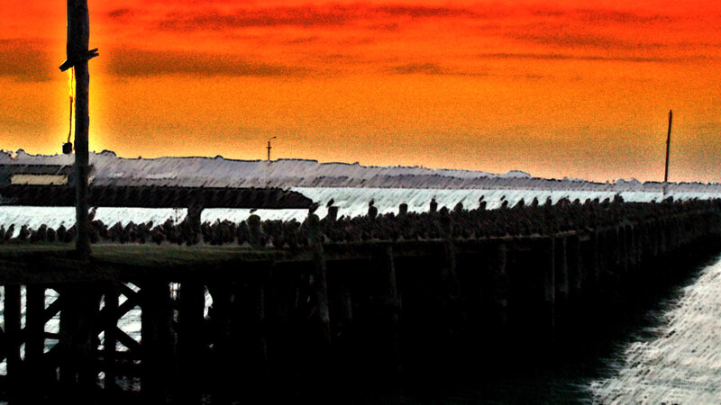 Birds on a Pier