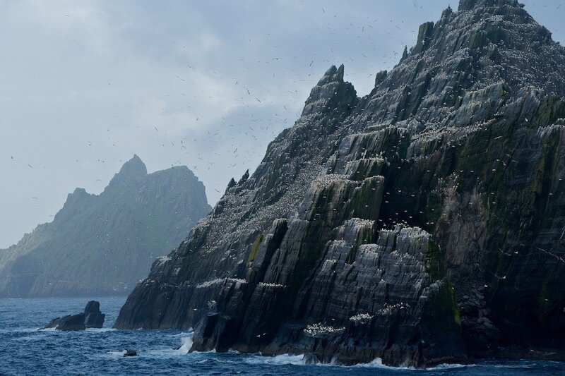 Birds on a rocky cliff