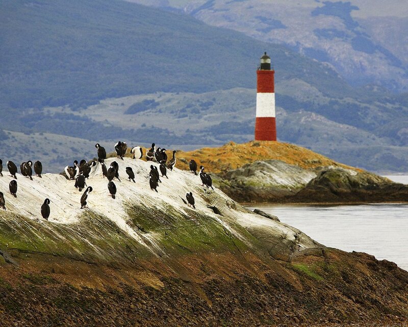 Birds on a Rocky Shore