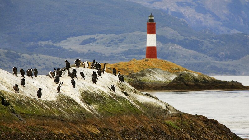 Birds on a rocky shore with lighthouse