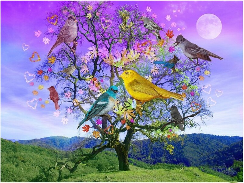 Birds on a Tree