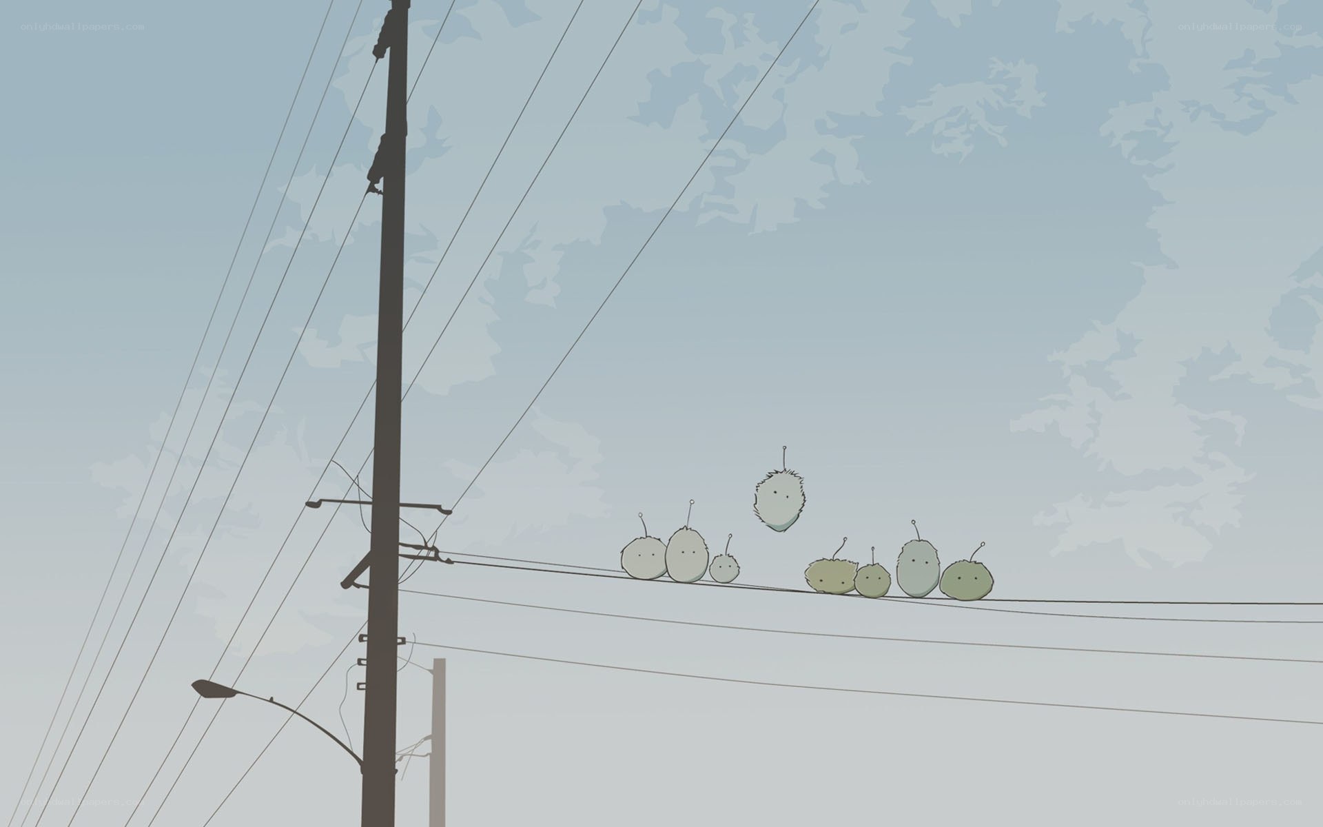 Birds on a wire