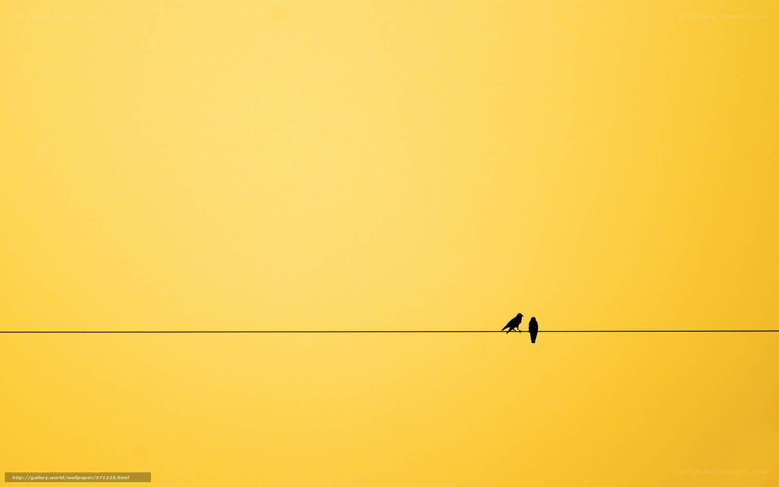 Birds on a wire at sunset