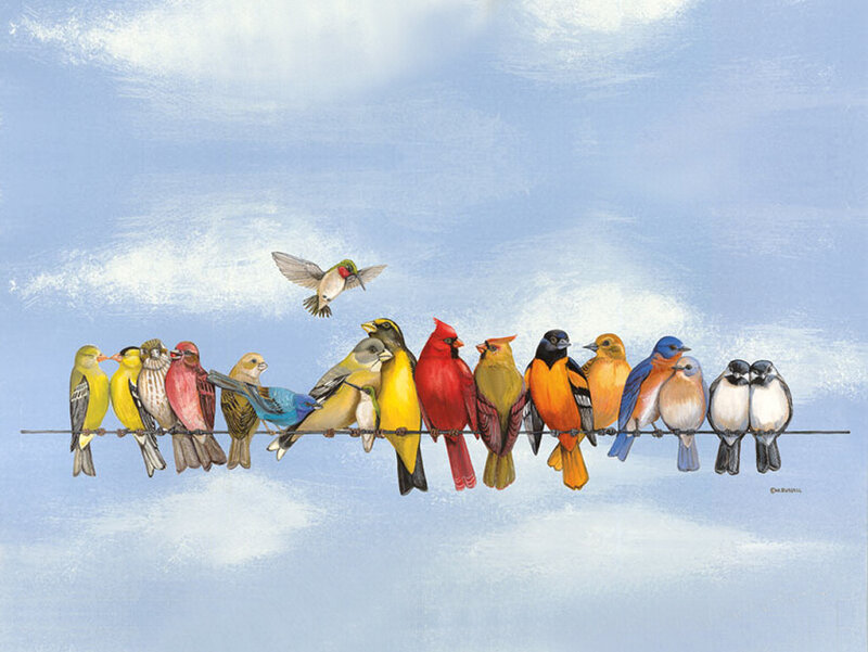 Birds on a Wire — Blue, Calm