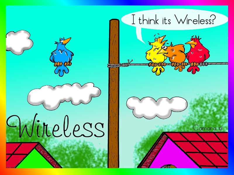 Birds on a Wire — Blue, Humorous