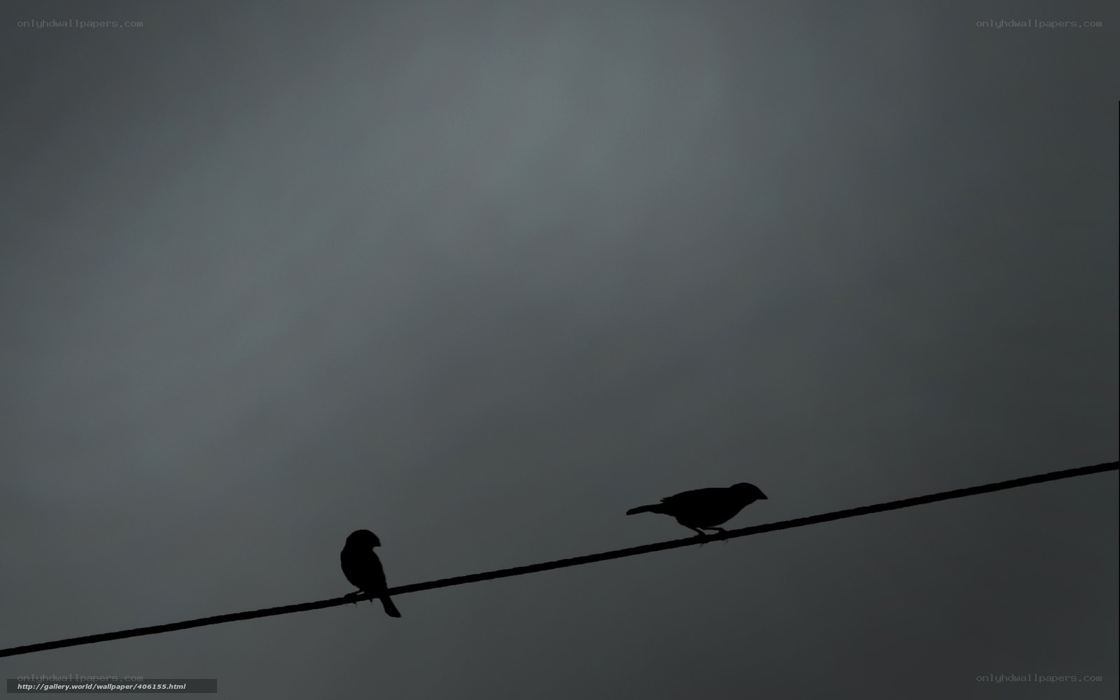 Birds on a wire silhouette