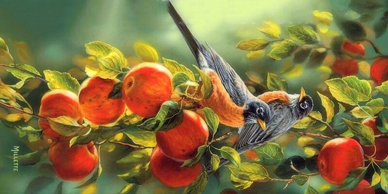 Birds on Apple Branch