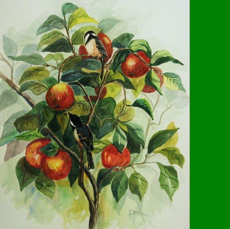 Birds on Apple Tree