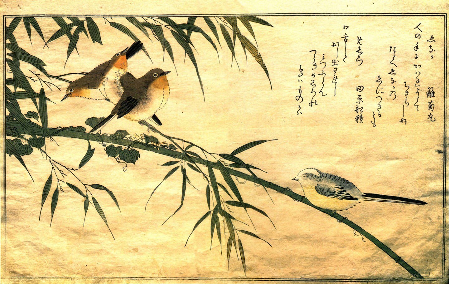 Birds on bamboo branches