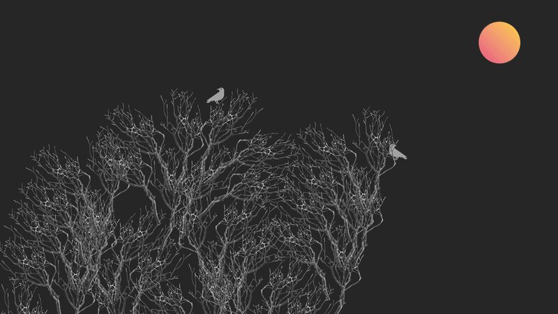 Birds on Bare Branches — Black, Serene